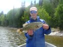 Rob Linn - DSC07022